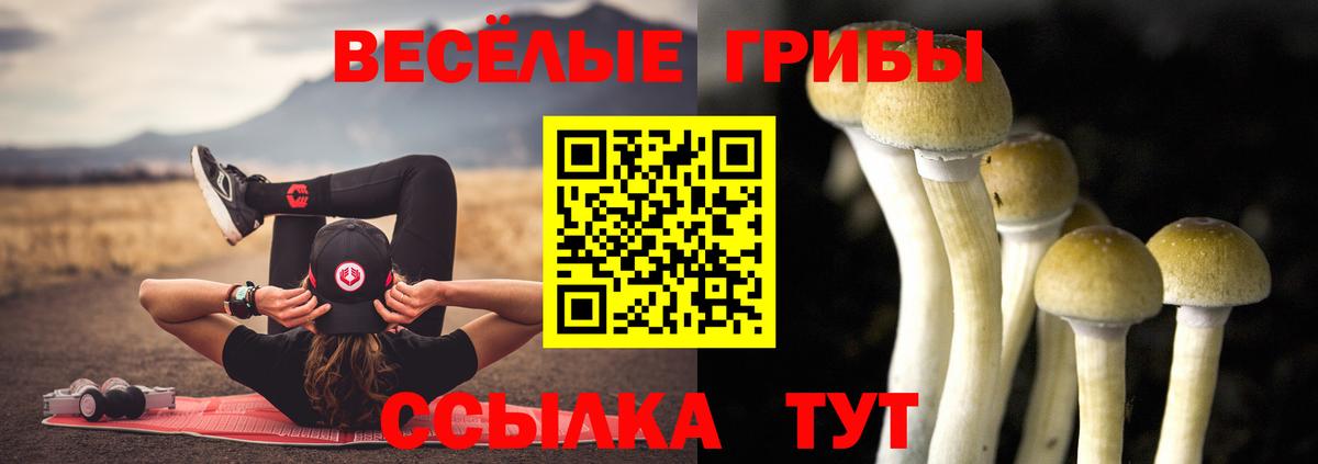 Псилоцибиновые грибы прущие грибы Костомукша